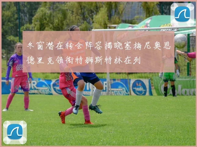 冬窗潜在转会阵容揭晓塞梅尼奥恩德里克领衔特狮斯特林在列