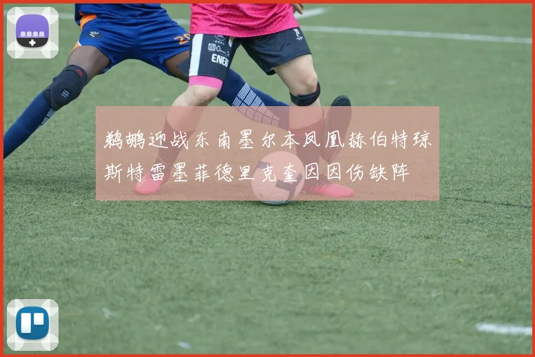 鹈鹕迎战东南墨尔本凤凰赫伯特琼斯特雷墨菲德里克奎因因伤缺阵