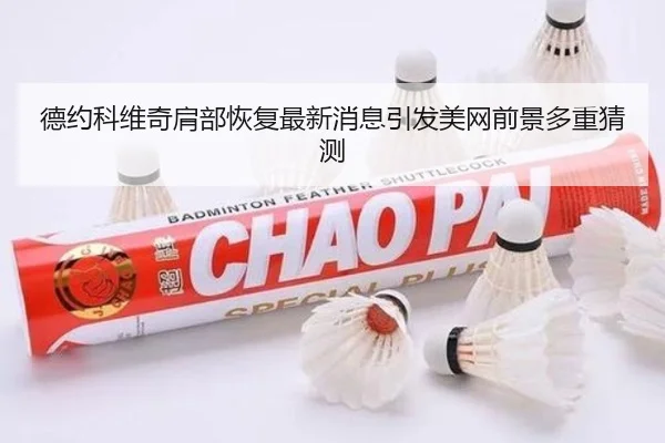 德约科维奇肩部恢复最新消息引发美网前景多重猜测 | zosprt