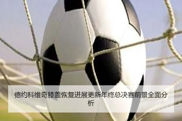 德约科维奇膝盖恢复进展更新年终总决赛前景全面分析 | zosprt